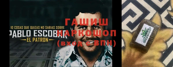 прущие грибы Медногорск