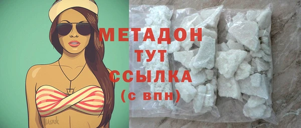 прущие грибы Медногорск