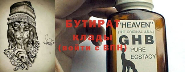 прущие грибы Медногорск