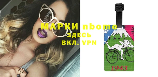 прущие грибы Медногорск
