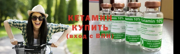 прущие грибы Медногорск