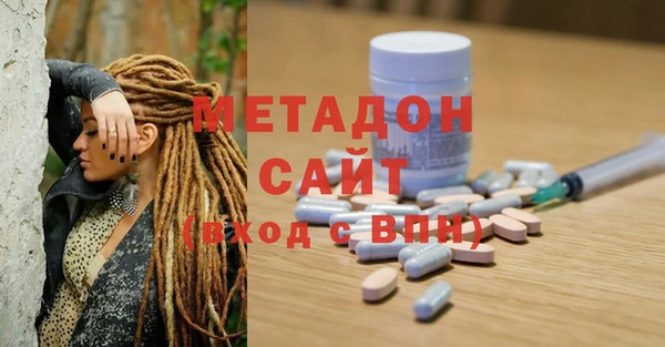 прущие грибы Медногорск