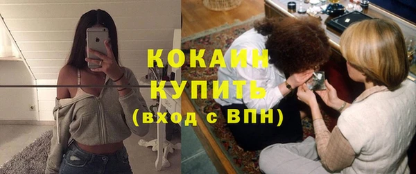 прущие грибы Медногорск