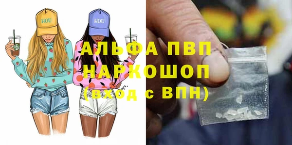 прущие грибы Медногорск