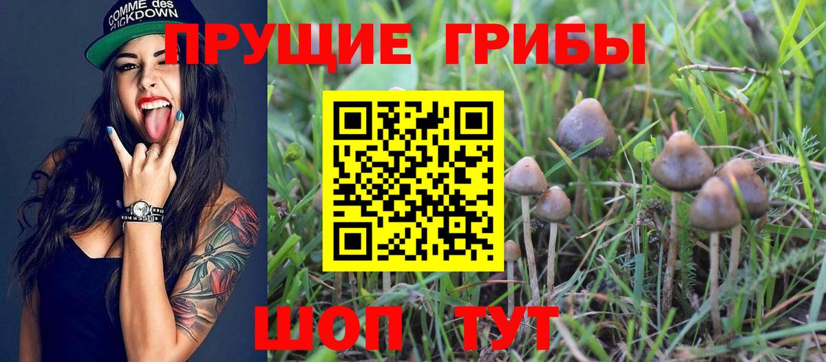 Фурманов  купить наркотики сайты  Галлюциногенные грибы Magic Shrooms  Вход с VPN  Псилоцибиновые грибы прущие грибы 