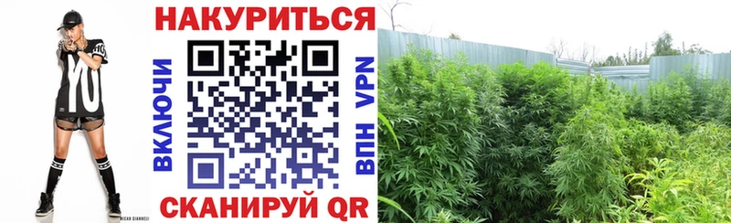 Марихуана SATIVA & INDICA Фурманов