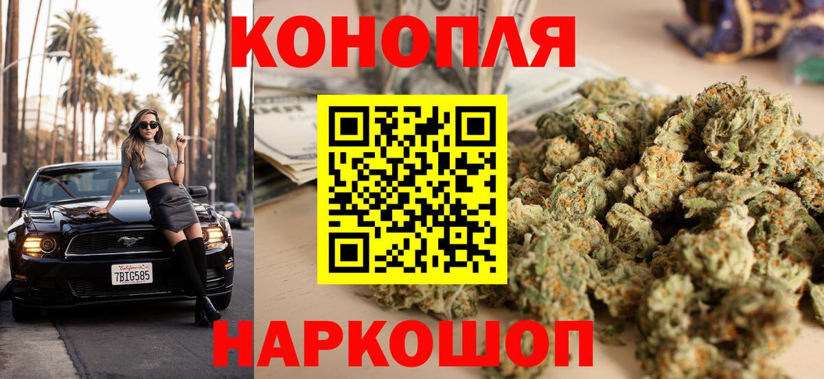 Конопля сатива Фурманов